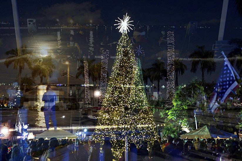 Bild "Aktuell:Christmas-Tree-Lighting-on-Main-Street-Stuart-2018-web.jpg"